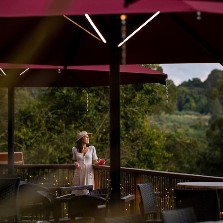 Kondalilla Eco Resort Montville Eksteriør billede