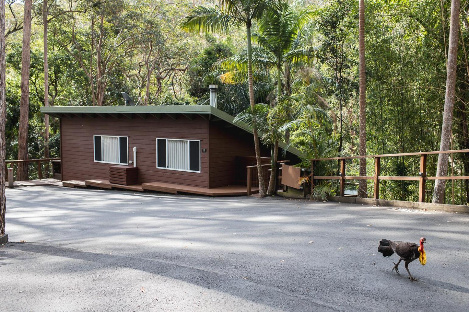 Kondalilla Eco Resort Montville Eksteriør billede