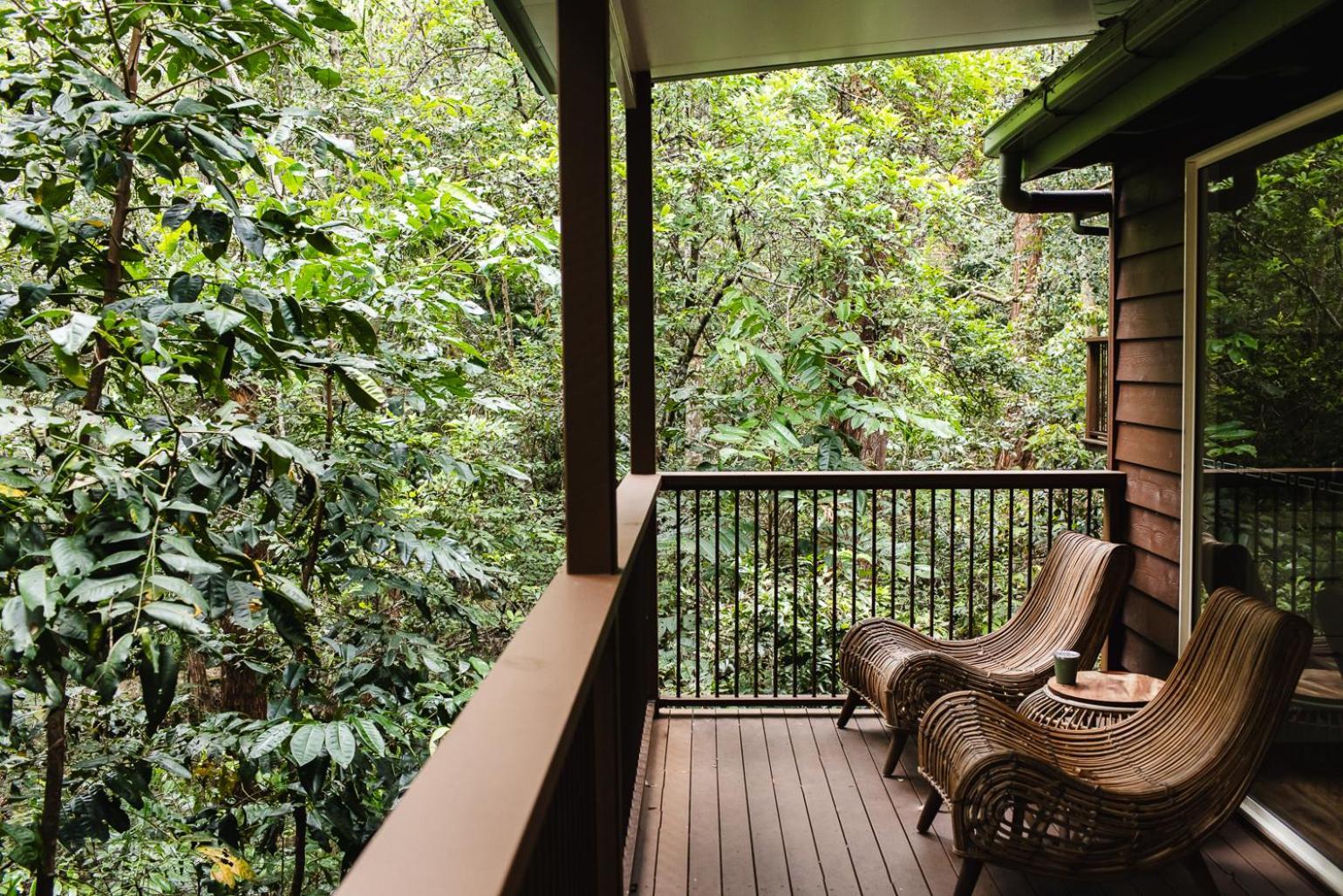 Kondalilla Eco Resort Montville Eksteriør billede