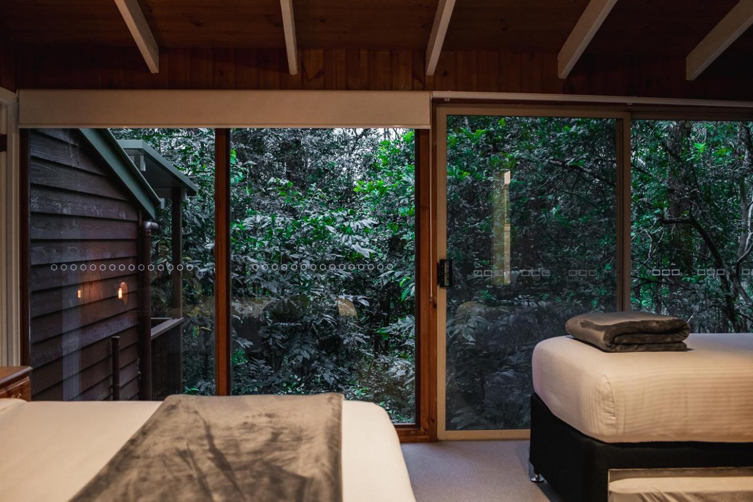 Kondalilla Eco Resort Montville Eksteriør billede