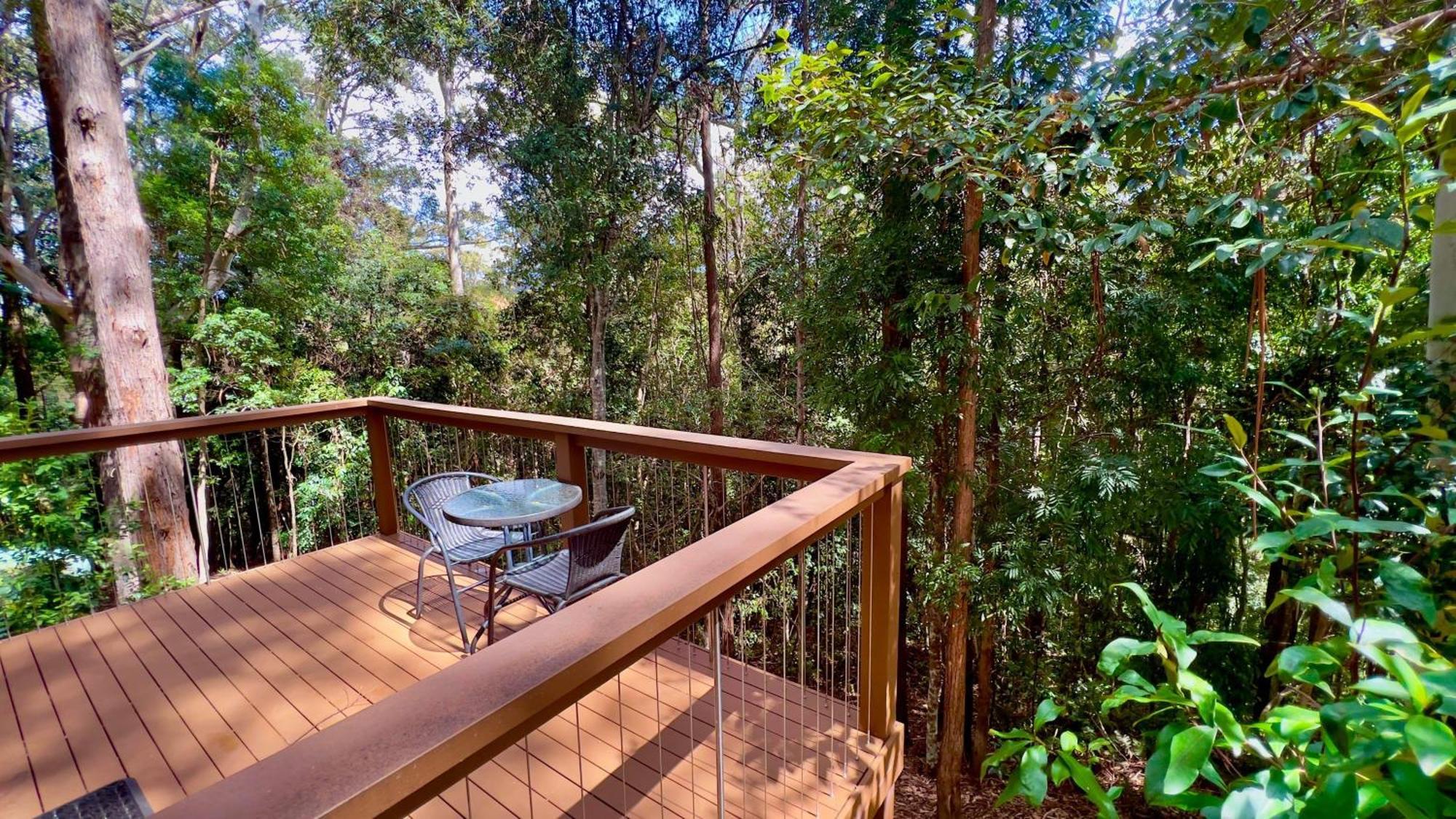 Kondalilla Eco Resort Montville Eksteriør billede