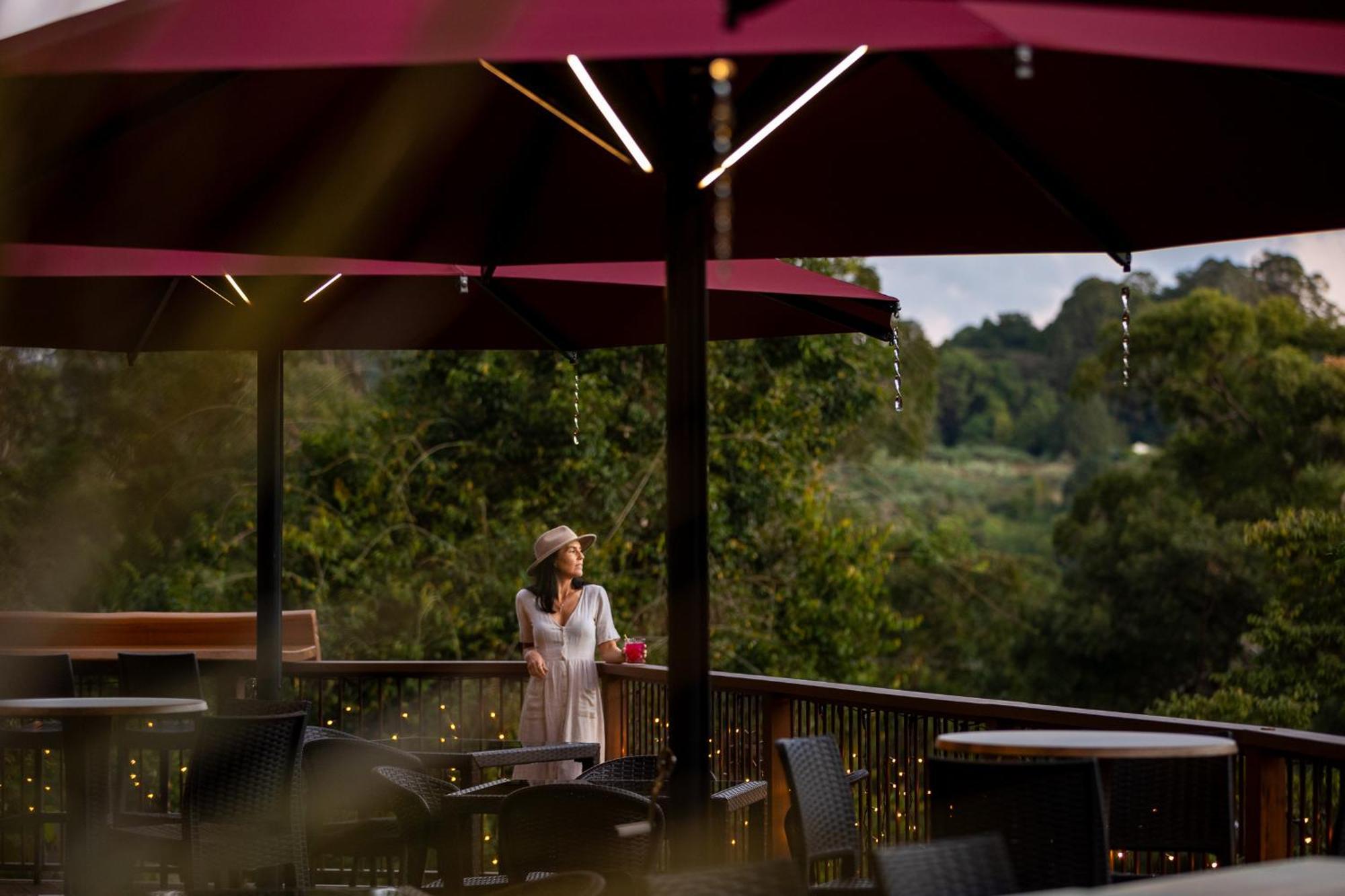 Kondalilla Eco Resort Montville Eksteriør billede