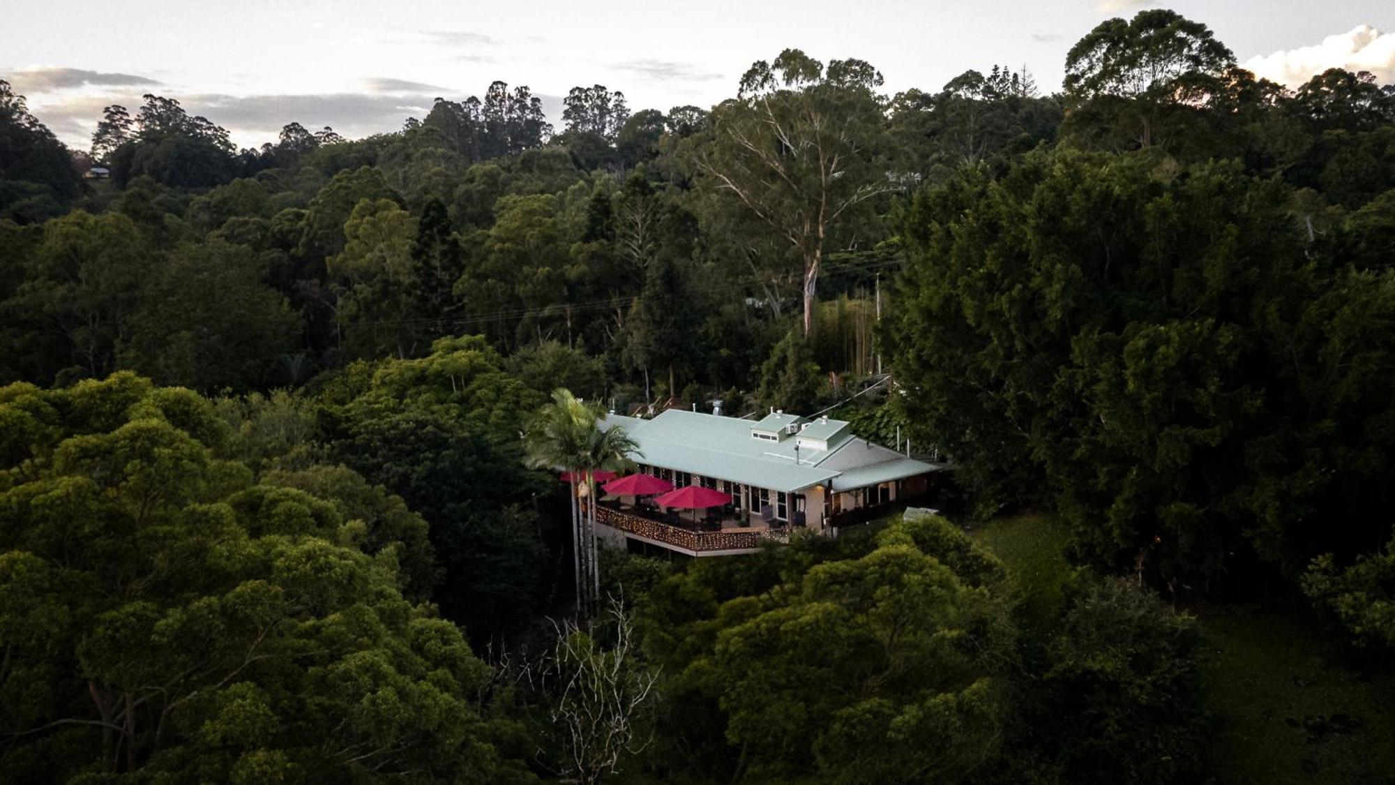 Kondalilla Eco Resort Montville Eksteriør billede