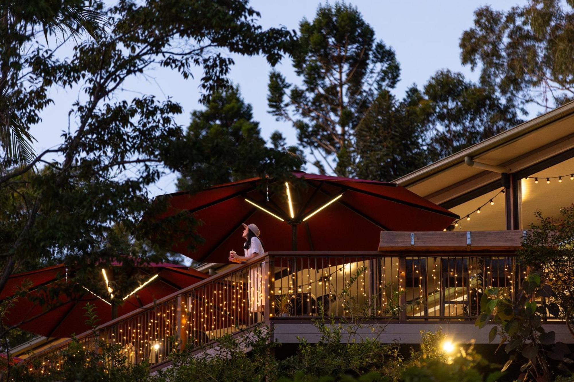 Kondalilla Eco Resort Montville Eksteriør billede